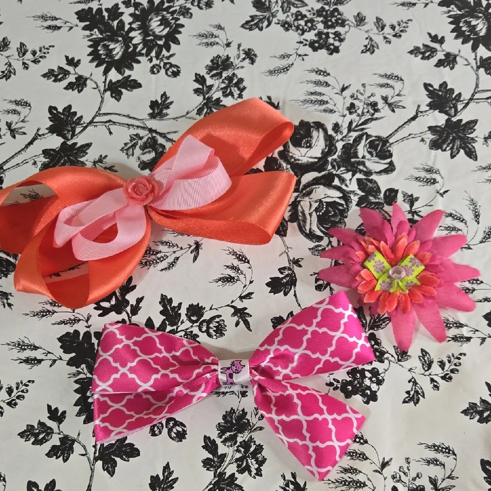 Pink and Orange Hair Accessories Set B16